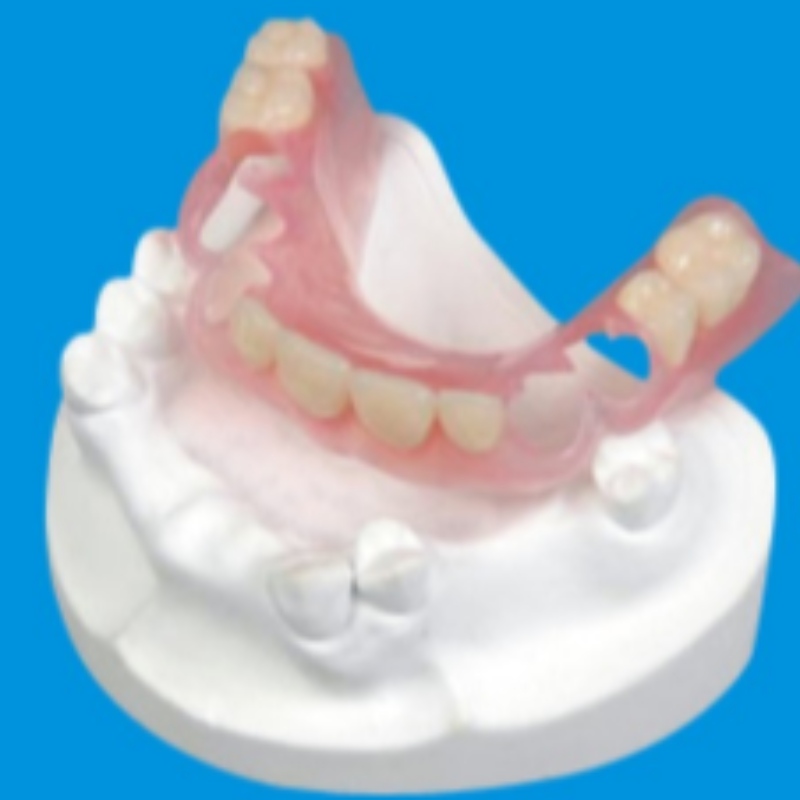Série de prótese de dentas acrílicas